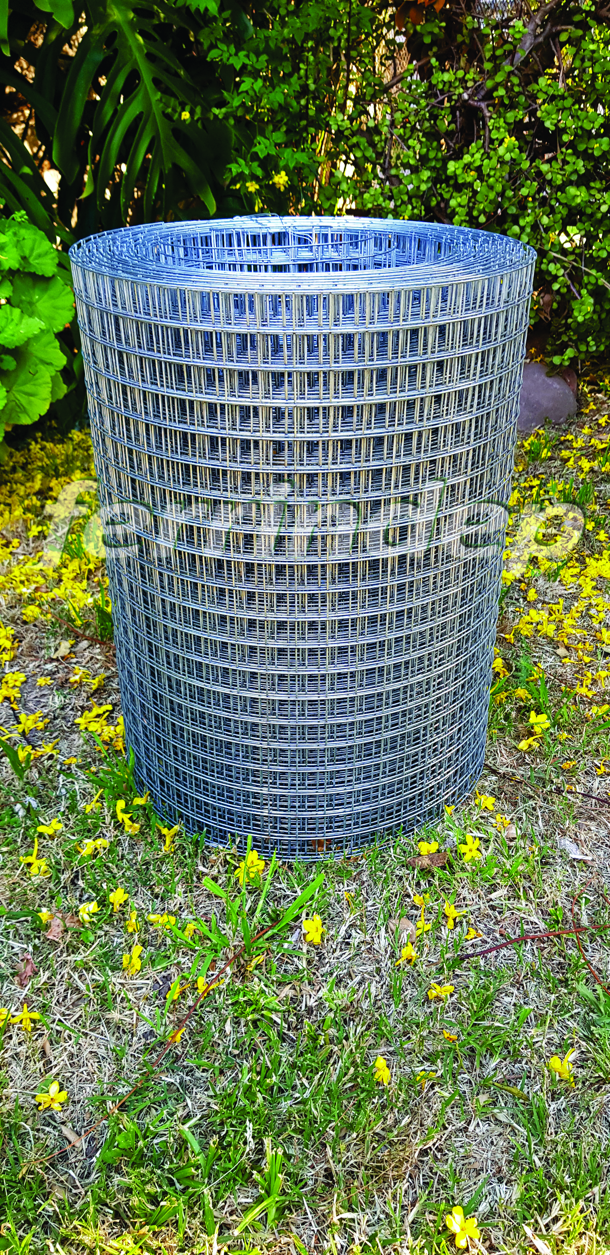 Vista 6
